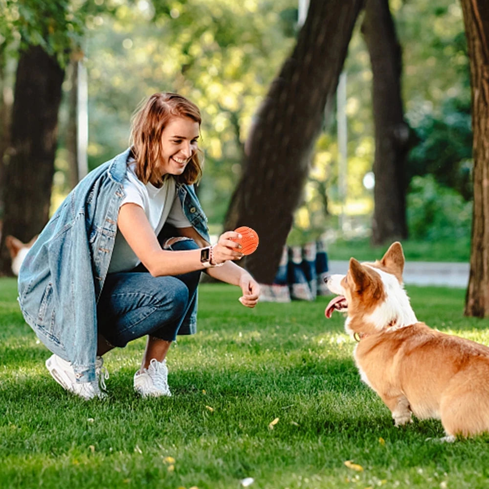 Dog Bouncy Rubber Solid Ball Resistance to Dog Chew Toys