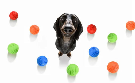 Dog Bouncy Rubber Solid Ball Resistance to Dog Chew Toys