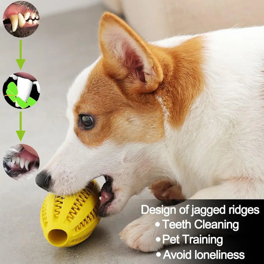 Pet Dog Chew Toys Teeth Cleaning Snack Ball