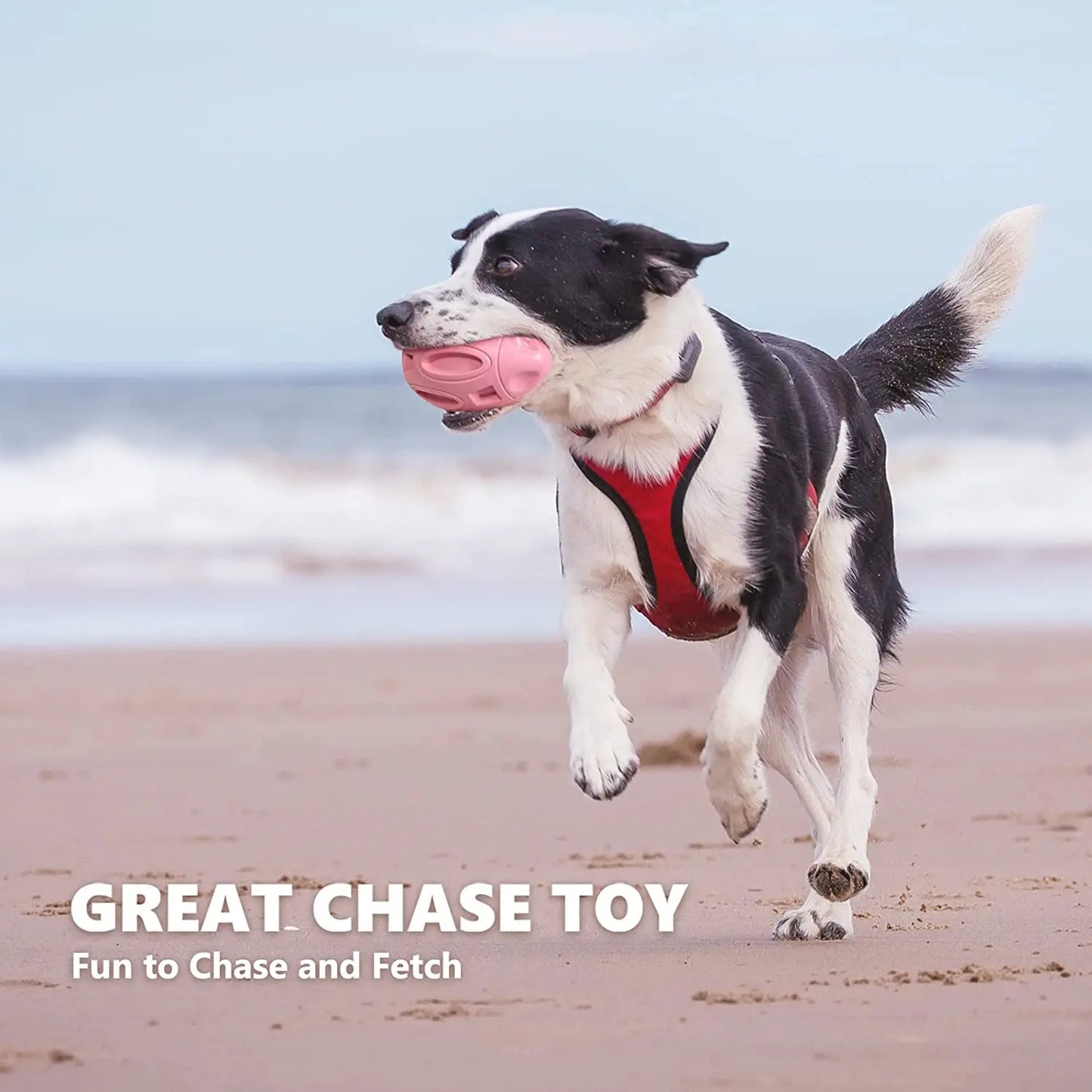 Squeaky Dog Toys for Aggressive Chewers Rubber