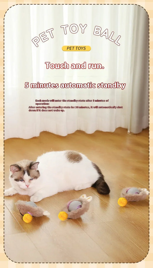 Toys for cats Rechargeable Pet Interactive Automatic Rolling Ball