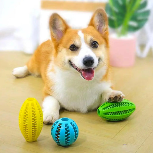 Pet Dog Chew Toys Teeth Cleaning Snack Ball