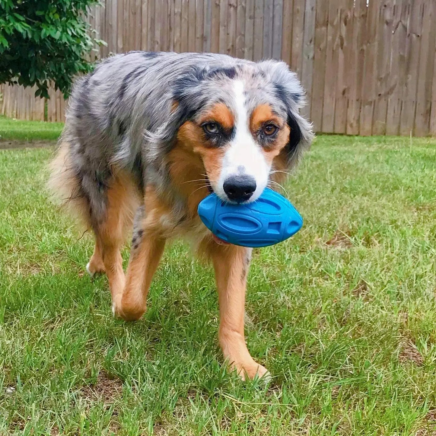 Squeaky Dog Toys for Aggressive Chewers Rubber