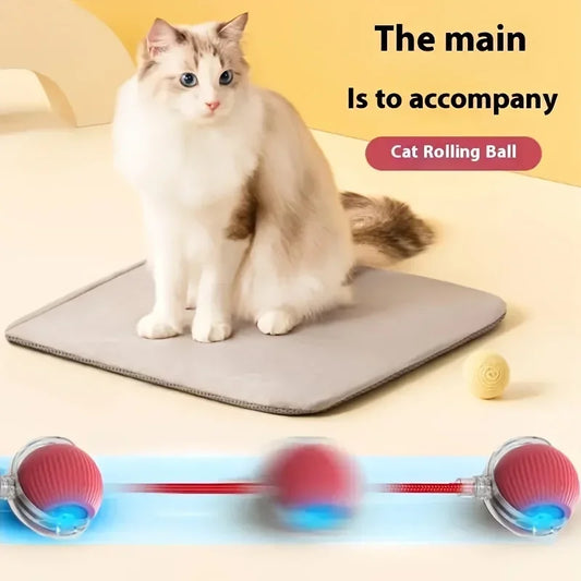 Toys for cats Rechargeable Pet Interactive Automatic Rolling Ball